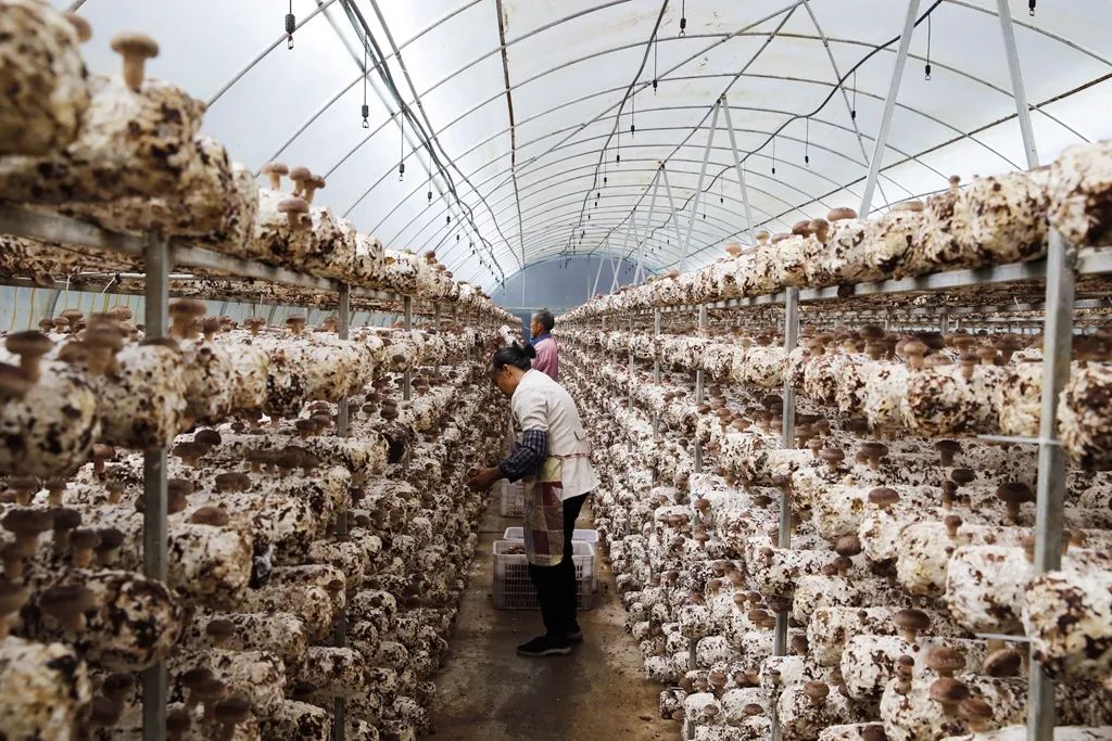 【东西部协作】山海携手，激活“造血”功能促进协调发展！